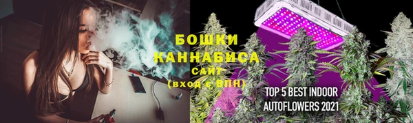 дурь Покачи
